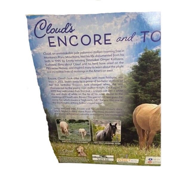 Breyer Mustang Gift Set Encore and Tor #1840 Mare & Foal New Box Damaged - Picture 5 of 8